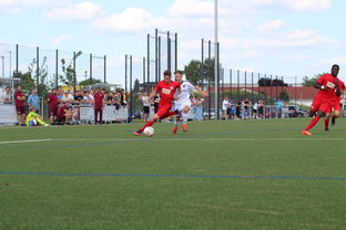 开云·Kaiyun网页版-荷兰队在国际赛场持续强势，晋级形势良好