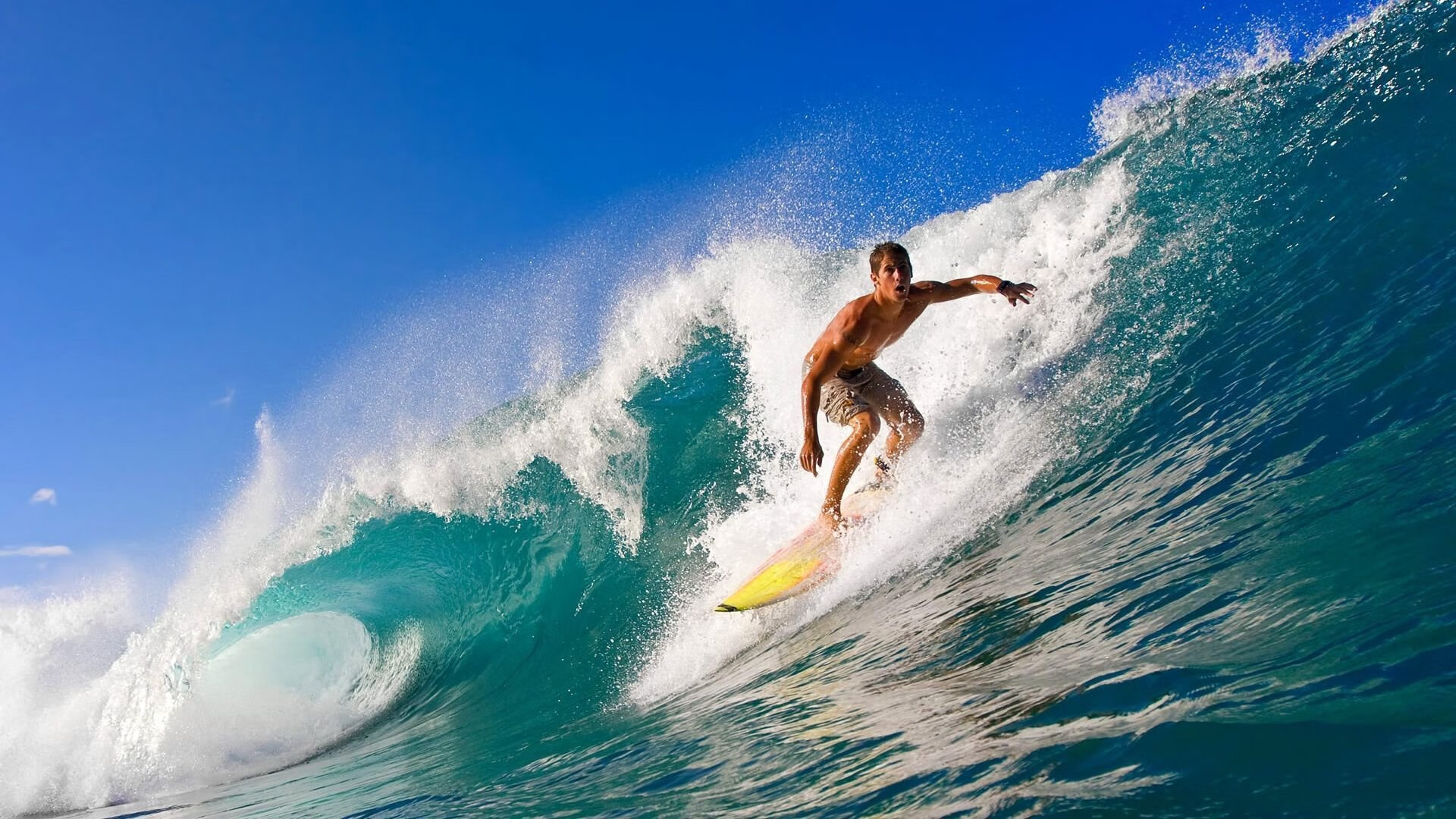 球迷投票：你心中的欧冠最佳阵容，欧冠最佳球队